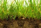 Duckmaloisub-soil-drainage-6.jpg; ?>
